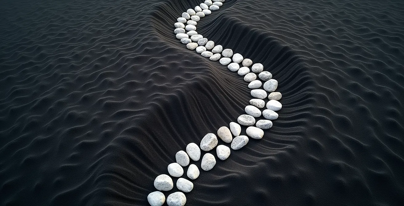 Vue aérienne minimaliste de deux chemins de pierres blanches sur sable noir, l'un droit et l'autre formant une spirale exponentielle ascendante